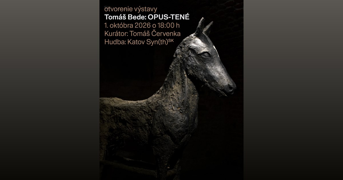 OPUS-TENÉ: výstava Tomáša Bedeho