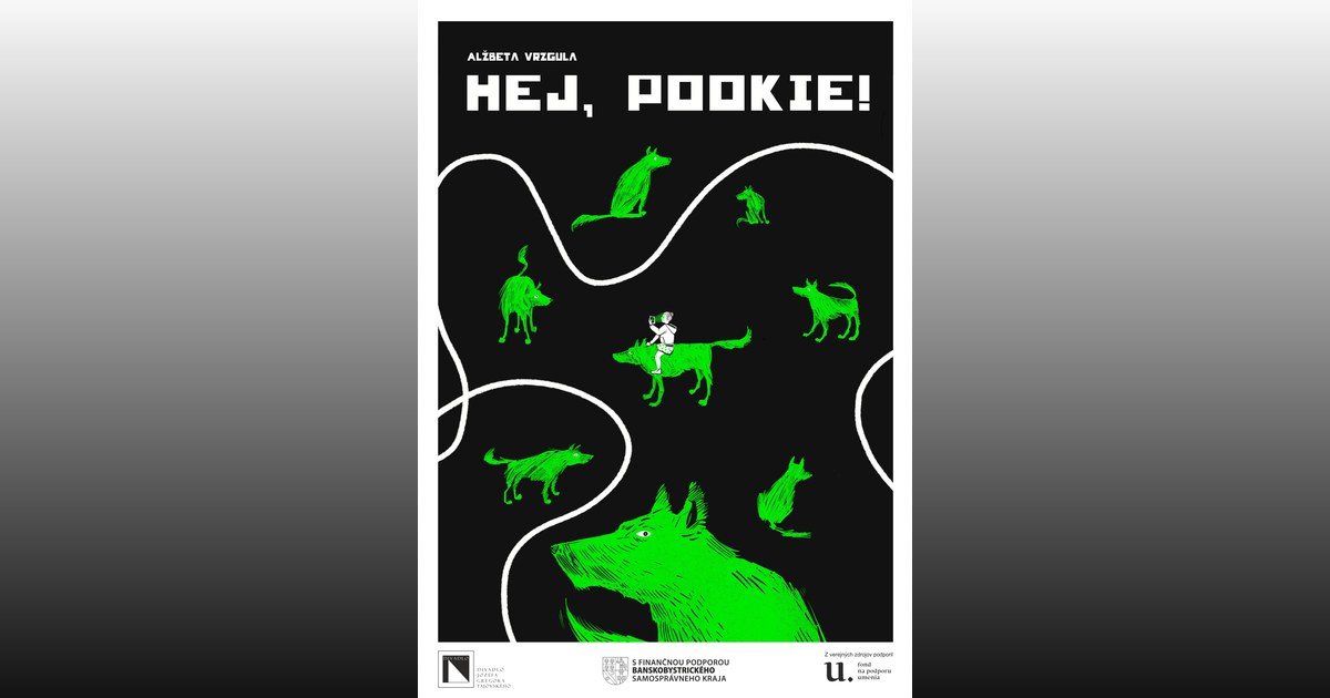 Dotyky a spojenia: Divadlo Jozefa Gregora Tajovského — Hej, Pookie!